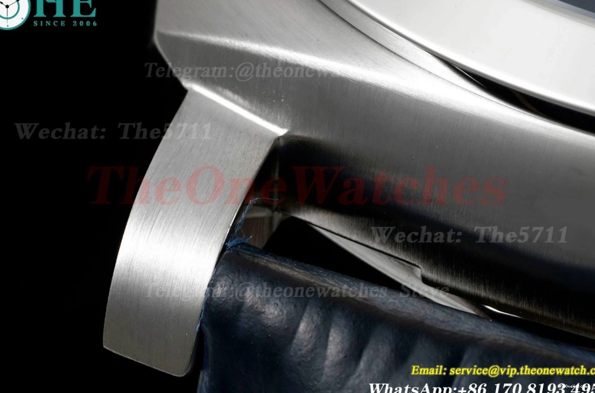 LE A9010 Dial PAM1313 44mm TTF Luminor SS Blue 0120